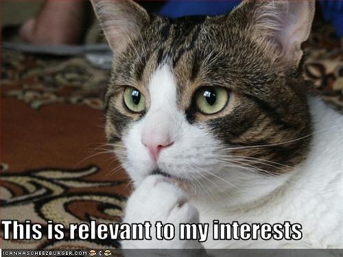 get more followers on Twitter