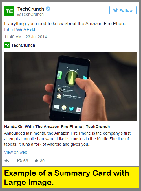 Example of a Twitter Summary Card with Large Image