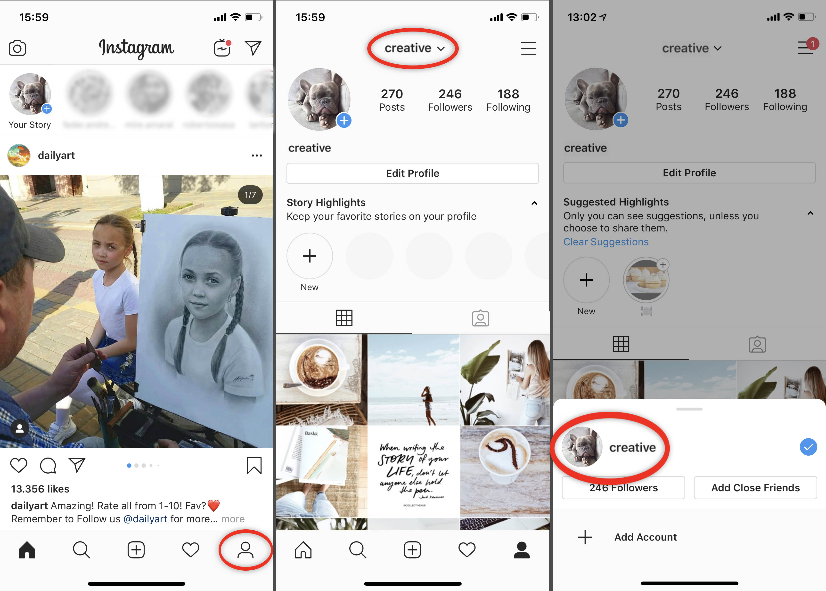 Linked Instagram accounts