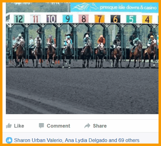 new facebook algorithm likes gif