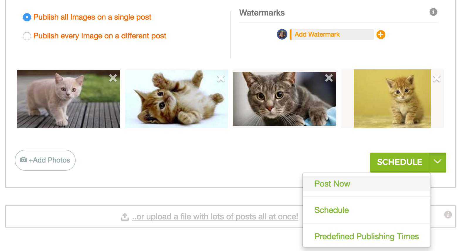 schedule a post with multiple images