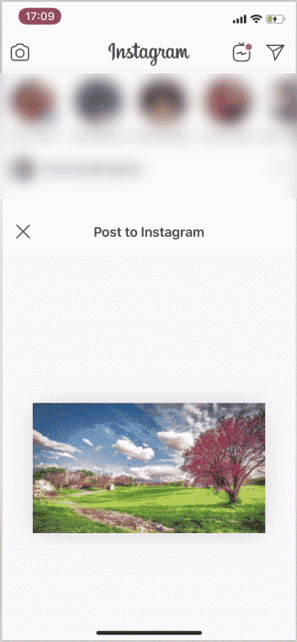publicar en instagram