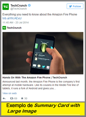 Exemplo de Summar Card with Large Image