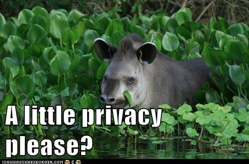 tendencias social media - A little privacy please