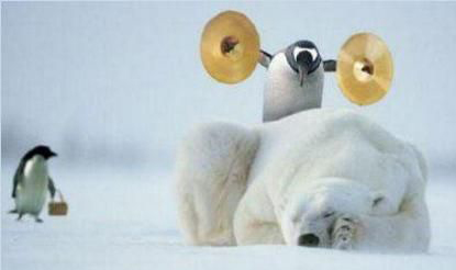 pesquisas de midia social