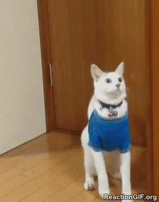 seo-orientado-ao-usuario